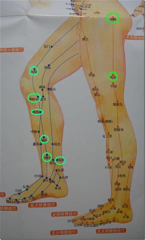 左腿内侧有痣|大腿内侧长痣的位置和命运解析